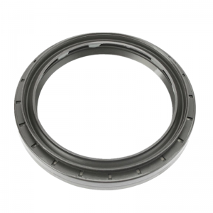 Oil seal 0149971246