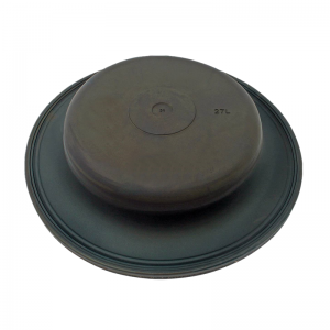 Diaphragm 0004313828